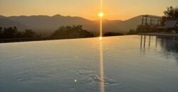 IMG_8537