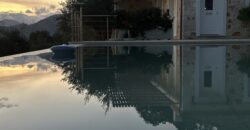 IMG_8687